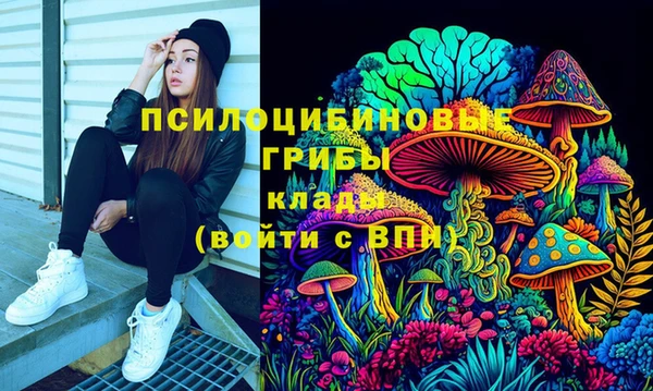альфа пвп Бородино