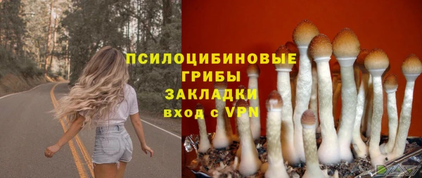 альфа пвп Бородино