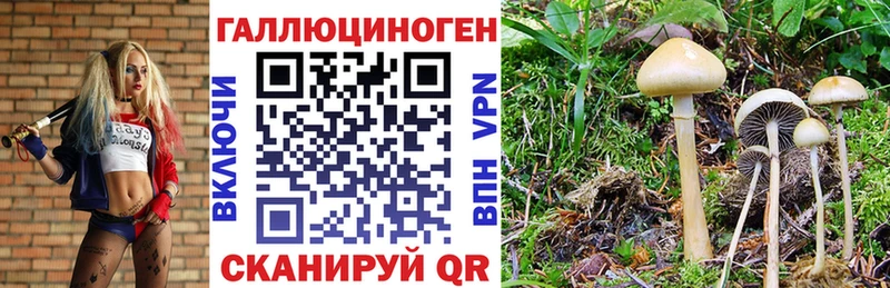 наркотики Сургут Галлюциногенные грибы MAGIC MUSHROOMS